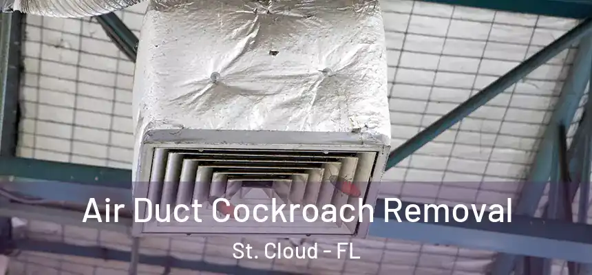 Air Duct Cockroach Removal St. Cloud - FL
