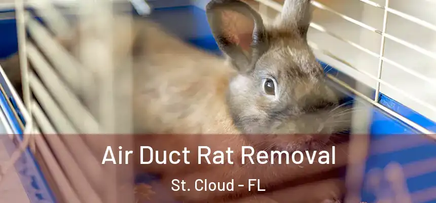 Air Duct Rat Removal St. Cloud - FL