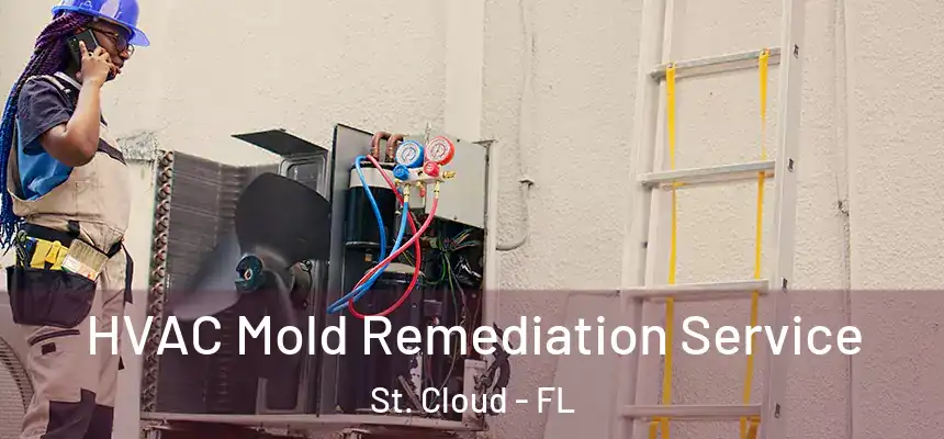 HVAC Mold Remediation Service St. Cloud - FL