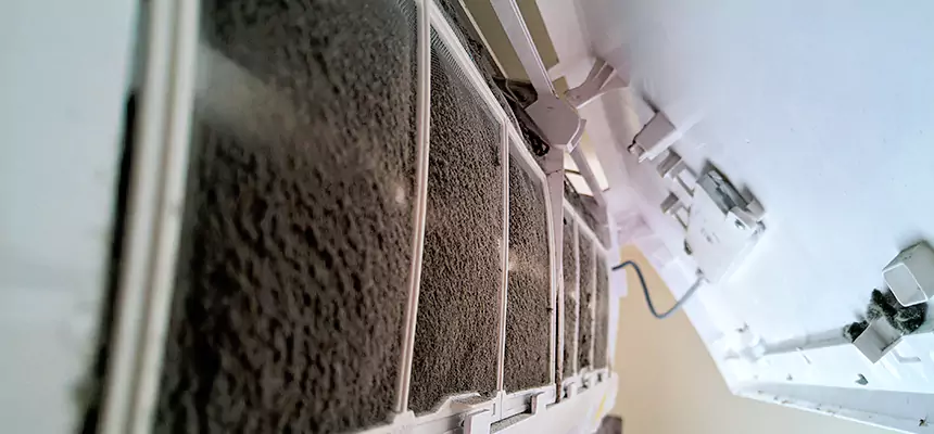 Preventive Air Duct Bacteria Removal in St. Cloud