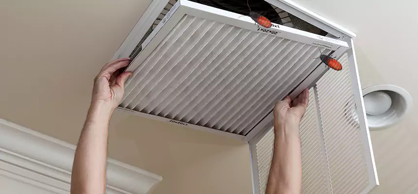 Preventive Cockroach-Proofing for Ducts in St. Cloud