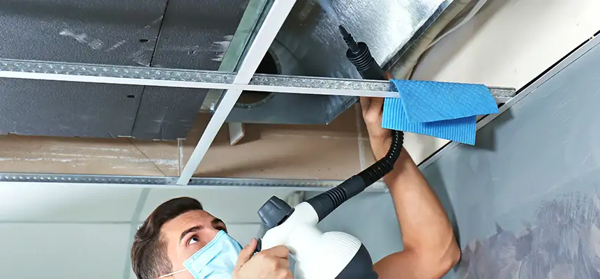 Our Air Duct Rodent Removal Services in St. Cloud, FL