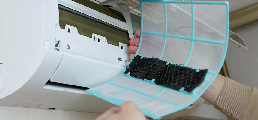 Gentle Ductwork Odor-Control Pet Dander Duct Cleaning in St. Cloud, FL