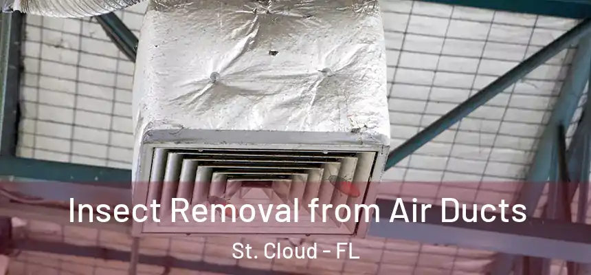 Insect Removal from Air Ducts St. Cloud - FL