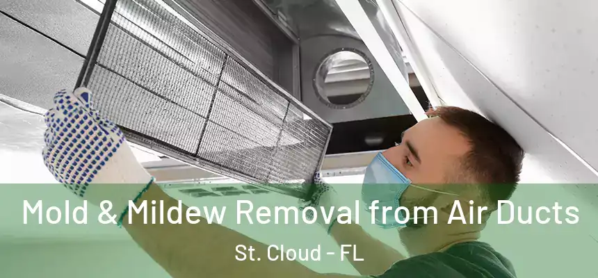  Mold & Mildew Removal from Air Ducts St. Cloud - FL