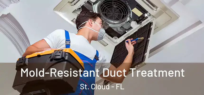  Mold-Resistant Duct Treatment St. Cloud - FL