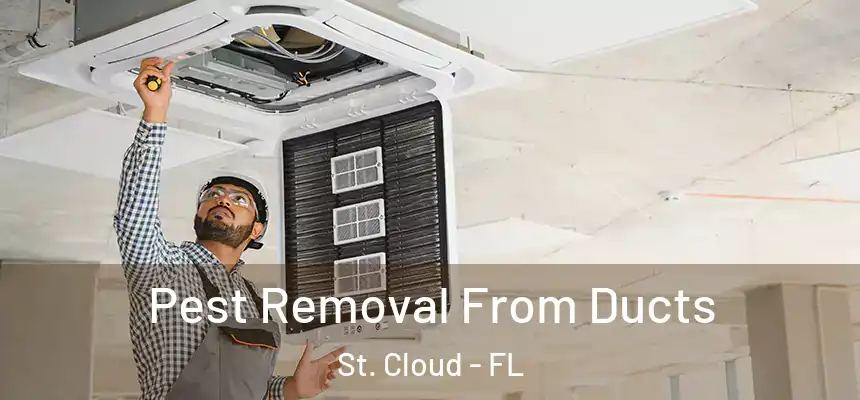Pest Removal From Ducts St. Cloud - FL