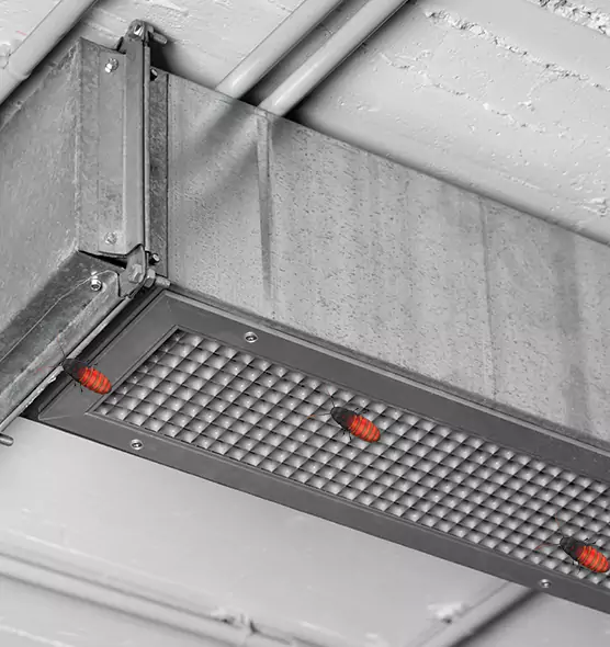 About Air Duct Cockroach Removal in St. Cloud, FL