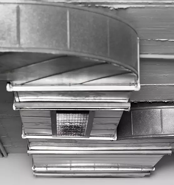 Professional Air Duct Pest Removal in St. Cloud, FL