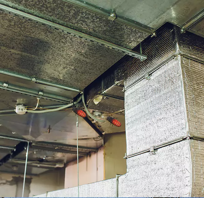 Why Homeowners & Businesses Trust Us in St. Cloud, FL?