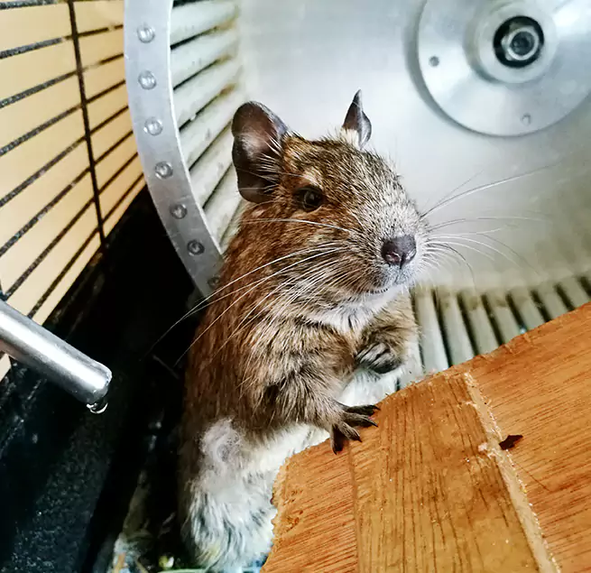 Why Homeowners & Businesses Trust Us St. Cloud, FL?