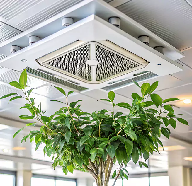 Why Homeowners & Businesses Trust Us in St. Cloud, FL?