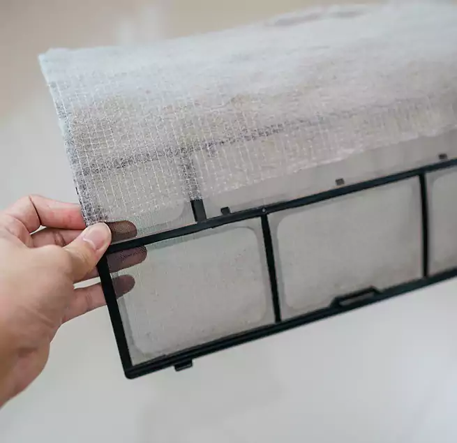 Why Homeowners & Businesses Trust Us in St. Cloud, FL?