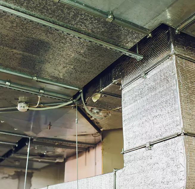 Why Homeowners & Businesses Trust Us in St. Cloud, FL?